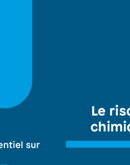 Construire une démarche de prévention du risque chimique